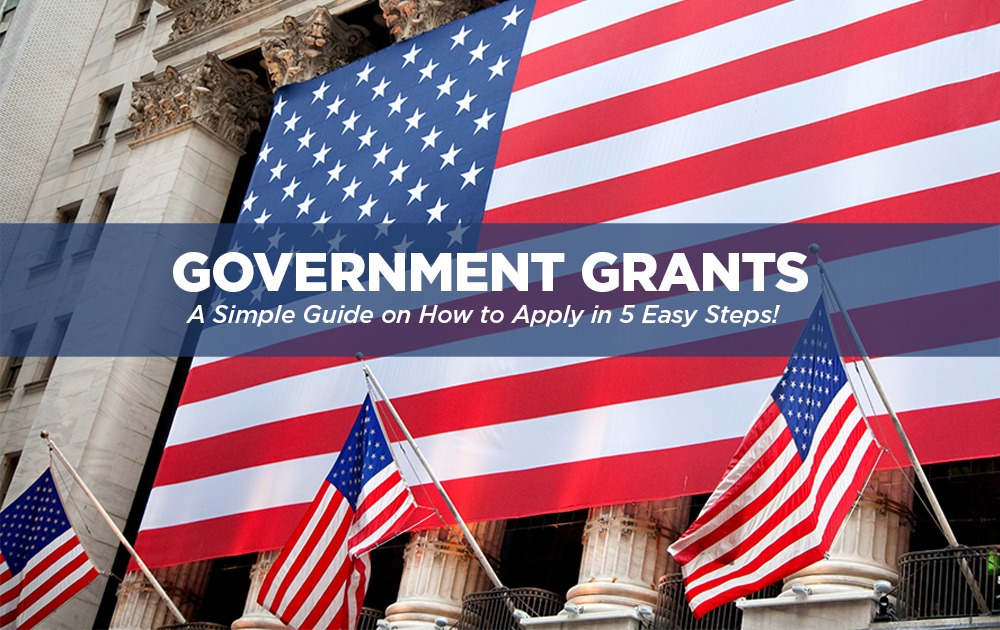 Government Grant Application